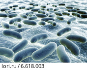 Bacteries. Стоковое фото, фотограф Лукиянова Наталья / Фотобанк Лори