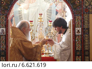 Митрополит Ювеналий  совершил иерейскую хиротонию (2014 год). Редакционное фото, фотограф Дмитрий Неумоин / Фотобанк Лори
