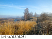 Туманное осеннее утро на реке Уче (2014 год). Стоковое фото, фотограф Елена Коромыслова / Фотобанк Лори
