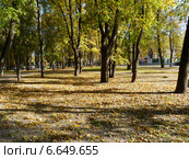 Псков. Осенний день в городском парке (2014 год). Стоковое фото, фотограф Наталия Журавлёва / Фотобанк Лори
