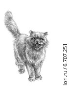 Кошка просит поесть - The cat requests to eat. Стоковая иллюстрация, иллюстратор Марина Ефремова / Фотобанк Лори