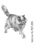 Кошка играет - The cat plays. Стоковая иллюстрация, иллюстратор Марина Ефремова / Фотобанк Лори