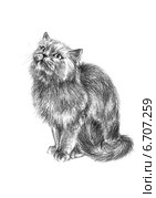 Кошка увидела на кухне сёмгу - The cat saw the kitchen salmon. Стоковая иллюстрация, иллюстратор Марина Ефремова / Фотобанк Лори