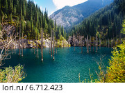 Горное озеро Каинды, Тянь-Шань, Казахстан. Стоковое фото, фотограф Roman Barelko / Фотобанк Лори