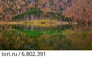 Краски осени (2014 год). Стоковое фото, фотограф Андрей Лукашенко / Фотобанк Лори
