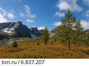 Кузнецкий Алатау, осень в Золотой Долине. Стоковое фото, фотограф Дмитрий Кривопалов / Фотобанк Лори