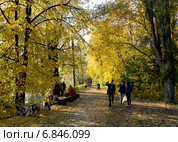 Ботанический сад. Самара (2014 год). Редакционное фото, фотограф Михаил Синякин / Фотобанк Лори