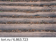 Бревна, покрытые листовым опадом. Стоковое фото, фотограф Татьяна Сапожникова / Фотобанк Лори