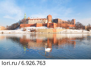 Исторический королевский замок Вавель в Кракове (2014 год). Стоковое фото, фотограф Наталья Волкова / Фотобанк Лори