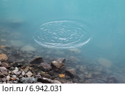 Круги на воде в озере Шавло. Алтай. Стоковое фото, фотограф Gagara / Фотобанк Лори