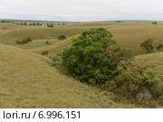 Департамент Мета. Колумбия (2012 год). Стоковое фото, фотограф Free Wind / Фотобанк Лори