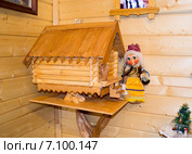 Макет домика кикиморы и кукла Кикимора в Тереме Деда Мороза (Велкикий Устюг) (2015 год). Редакционное фото, фотограф Светлана Шимкович / Фотобанк Лори