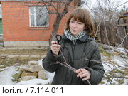 Девушка осматривает ветви молодой яблони в поисках вредителей. Стоковое фото, фотограф Марина Славина / Фотобанк Лори