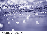 Вода. Фон. Солнечные блики. Малая глубина резкости. Стоковое фото, фотограф Gagara / Фотобанк Лори