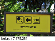 Тактильные знаки.Таблички шрифтом Брайля (2015 год). Стоковое фото, фотограф Наталья Краснобаева / Фотобанк Лори