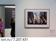 Фотография фотографа фотобанка "Лори" выставляется на выставке финалистов "Тhe Best of Russia 2014" в выставочном зале Винзавода, Москва (2015 год). Редакционное фото, фотограф Николай Винокуров / Фотобанк Лори