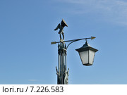 Курсантская фуражка на вершине столба (2012 год). Стоковое фото, фотограф Елена Музыка / Фотобанк Лори
