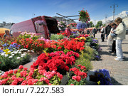 Helsinki Flower Market. Редакционное фото, агентство BE&W Photo / Фотобанк Лори