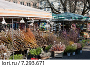 Продажа вербы и пасхальных сувениров на рынке Виктуалиенмаркт в Мюнхене (2015 год). Редакционное фото, фотограф Галина Лукьяненко / Фотобанк Лори