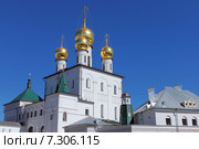 Санкт-Петербург. Собор Феодоровской иконы Божией Матери (2015 год). Стоковое фото, фотограф Александр Тарасенков / Фотобанк Лори