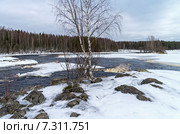 Порог Большой Толли на реке Шуя в начале марта. Крайне низкий уровень воды. Стоковое фото, фотограф Сергей Рыбин / Фотобанк Лори