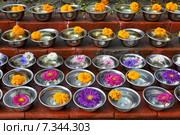 Nepal, Kathmandu, Bowls with flowers during a prayer meeting in Kathmandu. Редакционное фото, агентство BE&W Photo / Фотобанк Лори