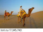 India Camel Riders in Desert, India India CWO_0119India, Jaisalmer, camel riding. Редакционное фото, агентство BE&W Photo / Фотобанк Лори
