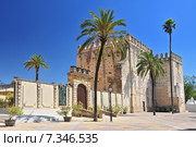 Alcazar, 11th Century, in the town of Jerez de la Frontera, Costa de la Luz, Province of Cadiz, Andalusia. Стоковое фото, агентство BE&W Photo / Фотобанк Лори