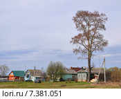 Весна в деревне (2015 год). Редакционное фото, фотограф Наталья Крупская / Фотобанк Лори