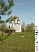 Храм Архангела Михаила в селе Микулино Городище (2015 год). Стоковое фото, фотограф Александр Курлович / Фотобанк Лори