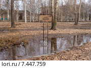 Заброшенная аллея поколений на улице Гагарина в Архангельске (2015 год). Стоковое фото, фотограф Леонид Ардаткин / Фотобанк Лори