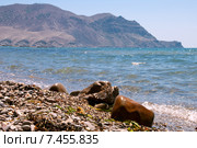 Валуны на берегу моря. Стоковое фото, фотограф Юрий Соловьёв / Фотобанк Лори