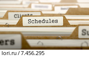 Файл с надписью Schedules в картотеке. Стоковая иллюстрация, иллюстратор Илья Урядников / Фотобанк Лори