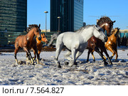 Пластмассовые фигуры скачущих коней в Астане (2015 год). Редакционное фото, фотограф Вячеслав Евсеев / Фотобанк Лори