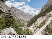 Гималаи - национальный парк Ганготри, Индия (2012 год). Стоковое фото, фотограф Александр Шутов / Фотобанк Лори