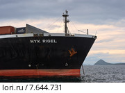 Носовая часть контейнеровоза NYK Rigel стоящего на рейде (2015 год). Редакционное фото, фотограф Владимир Серебрянский / Фотобанк Лори