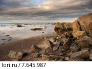 Белое море. Стоковое фото, фотограф Александр Коротков / Фотобанк Лори
