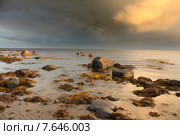 Белое море. Стоковое фото, фотограф Александр Коротков / Фотобанк Лори