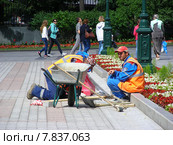 Бригада рабочих укладывают плитку в Александровском саду в Москве (2014 год). Редакционное фото, фотограф lana1501 / Фотобанк Лори