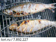 fish barbecue grill barbeque trout. Стоковое фото, фотограф Juergen Buettner / PantherMedia / Фотобанк Лори