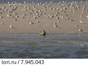 water sea ocean fishing salt. Стоковое фото, фотограф Thomas Rabbe / PantherMedia / Фотобанк Лори