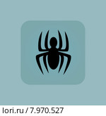 Pale blue spider icon. Стоковая иллюстрация, иллюстратор Иван Рябоконь / Фотобанк Лори