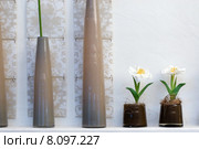 brown art decoration brunette vase. Стоковое фото, фотограф Daniel Schoenen / Smarterpix / Фотобанк Лори