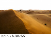 sand desert dune dunes dubai. Стоковое фото, фотограф Daniel Schoenen / Smarterpix / Фотобанк Лори