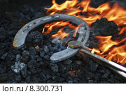 fire luck lucky conflagration horseshoe. Стоковое фото, фотограф petra wlosik / PantherMedia / Фотобанк Лори
