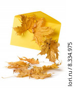 yellow communication autumn fall letter. Стоковое фото, фотограф Irina Drazowa-Fischer / PantherMedia / Фотобанк Лори
