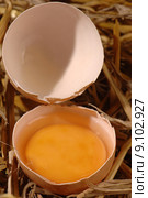 food eating eat breakfast egg. Стоковое фото, фотограф pawel sonnenburg / Smarterpix / Фотобанк Лори