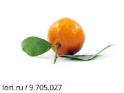 a tangerine with leaves on white background. Стоковое фото, фотограф daniel guffanti / PantherMedia / Фотобанк Лори
