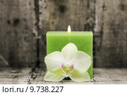 zen composition. Стоковое фото, фотограф daniel guffanti / PantherMedia / Фотобанк Лори