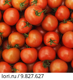 Full Frame of Red Tomatoes. Стоковое фото, фотограф Lisa Wahman / PantherMedia / Фотобанк Лори